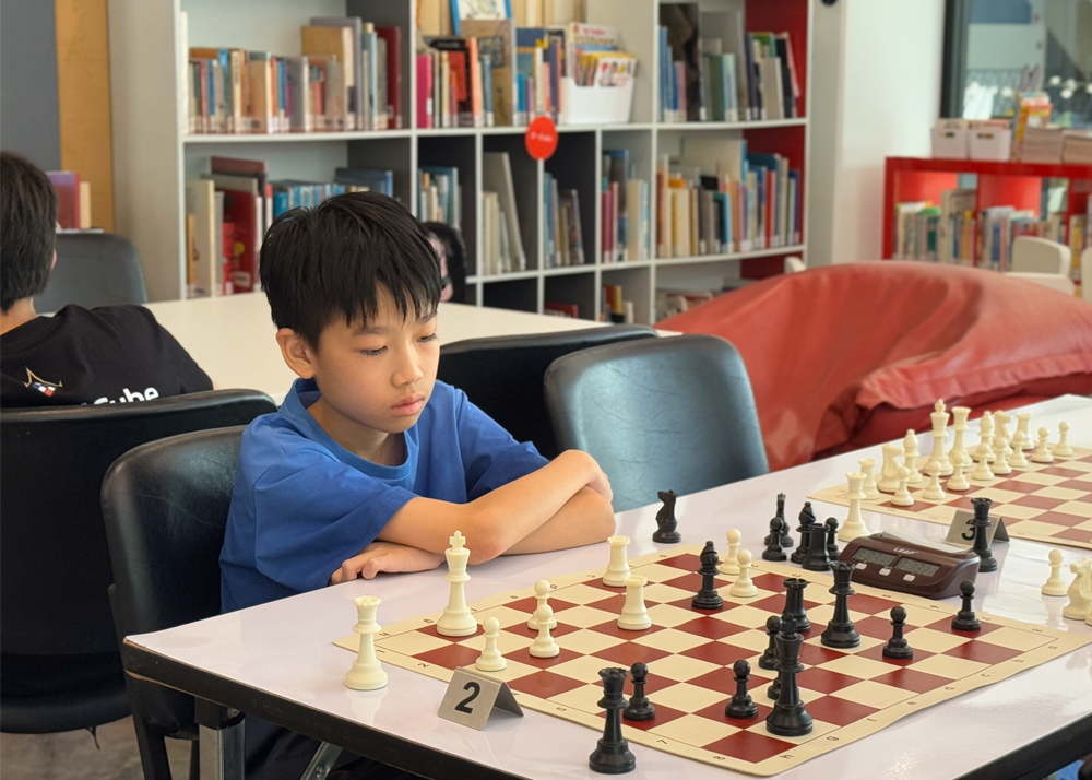 Chess Image 1